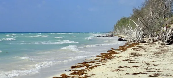 Freeport, Bahamas (beach)